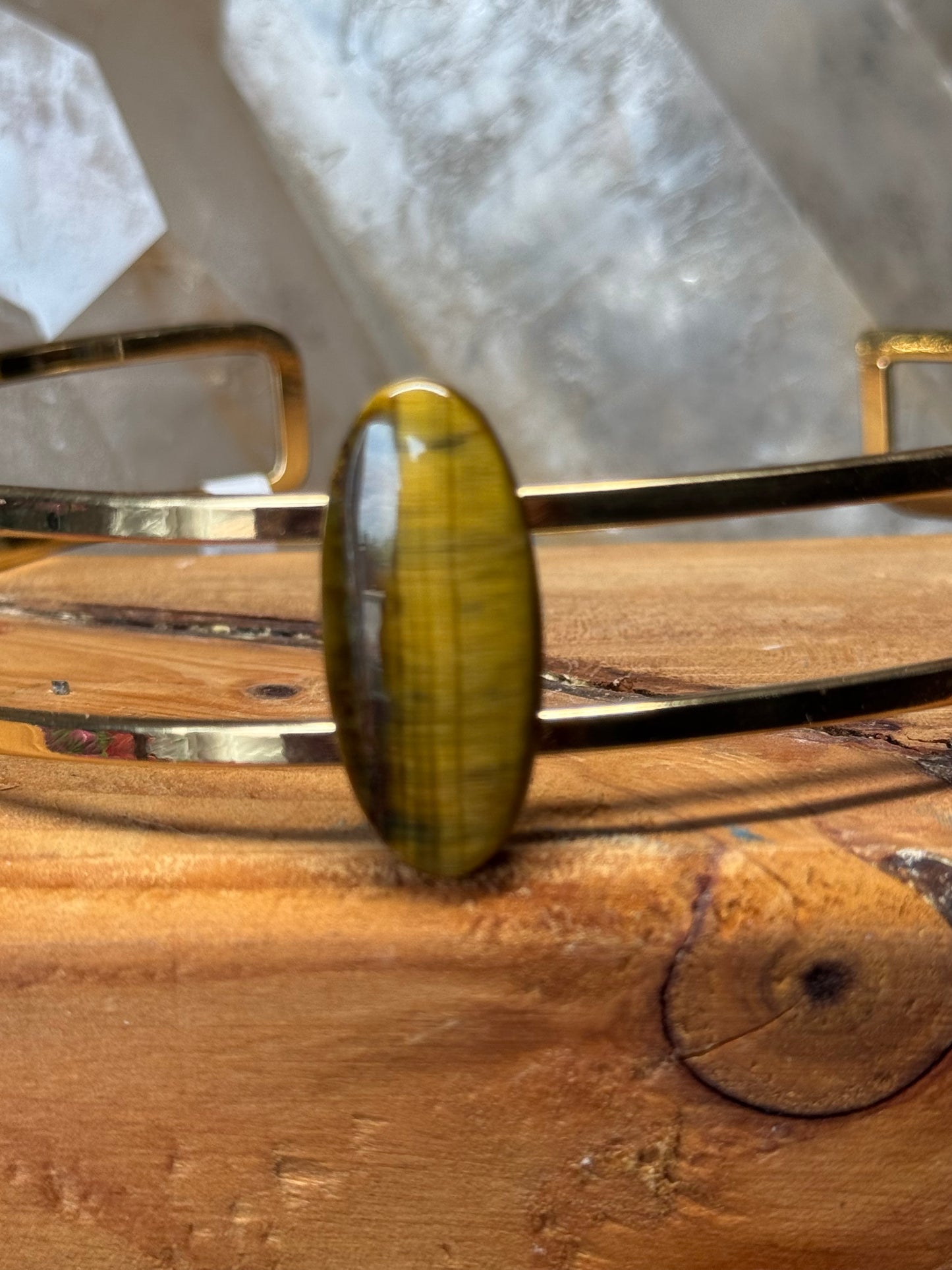 Tiger's Eye in Gold Choker Necklace